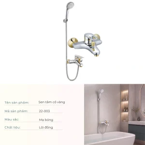 Bộ vòi Sen tắm 22-003